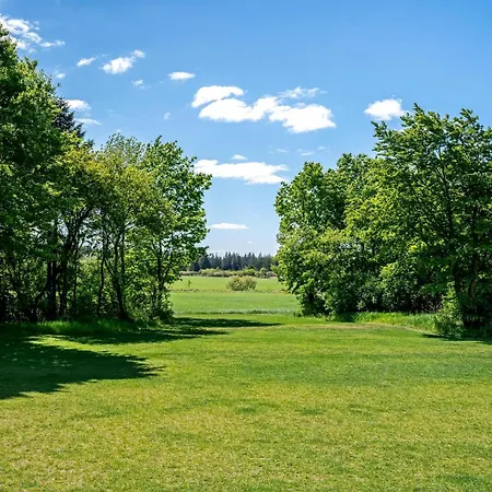 Lovely Home, Completely Renovated In 2025, In Quiet And Beautiful Surroundings *